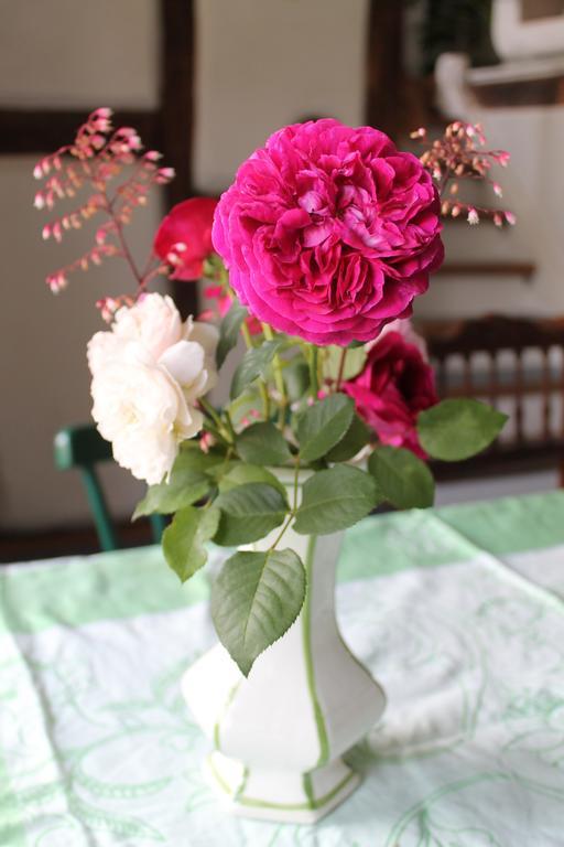 Maison Mille Fleurs Sankt Julian ภายนอก รูปภาพ