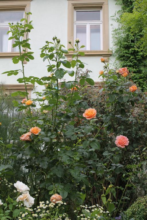 Maison Mille Fleurs Sankt Julian ภายนอก รูปภาพ