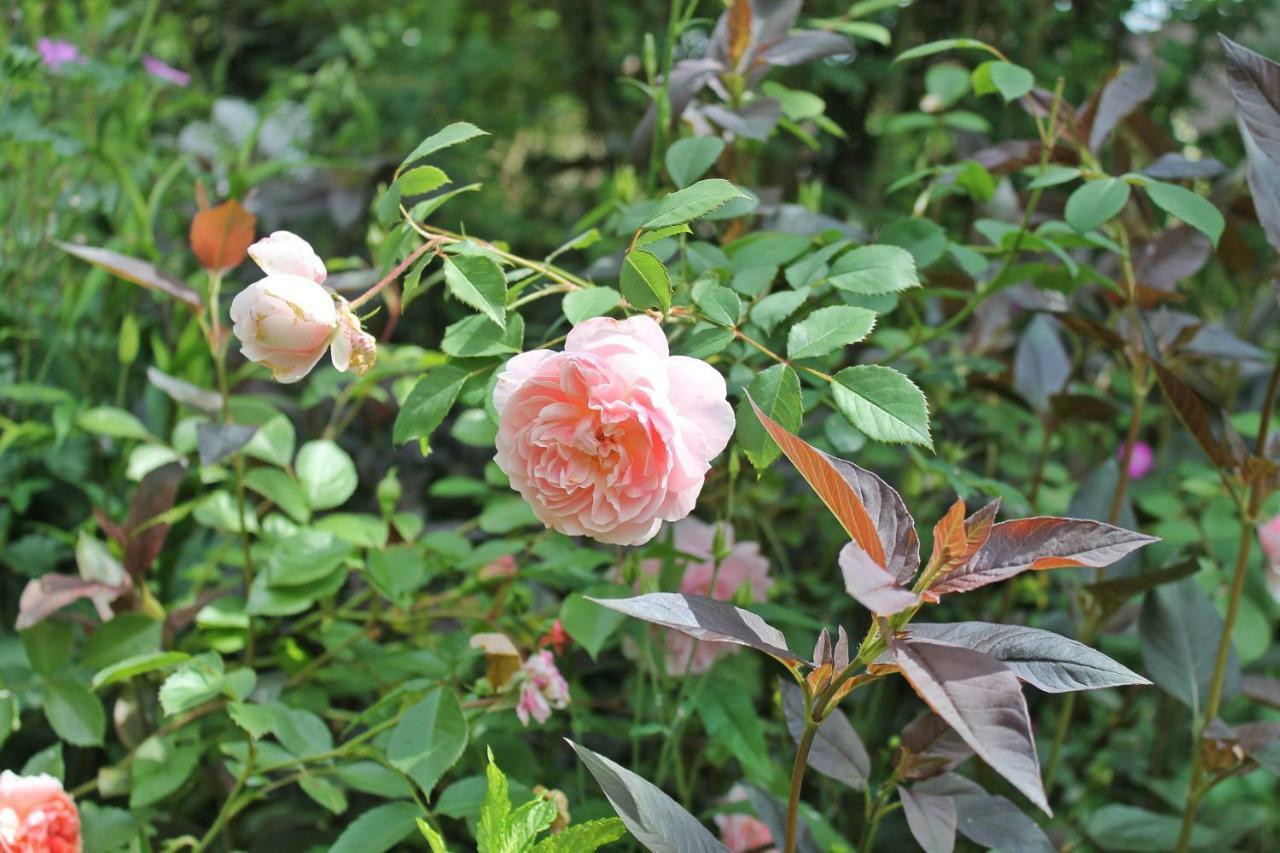 Maison Mille Fleurs Sankt Julian ภายนอก รูปภาพ