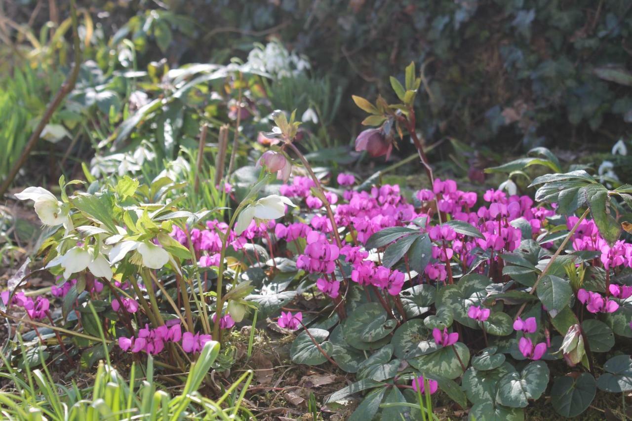 Maison Mille Fleurs Sankt Julian ภายนอก รูปภาพ